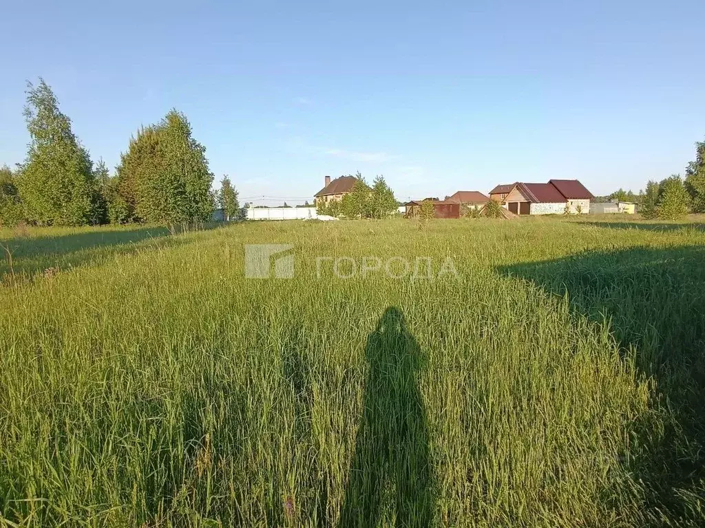 Участок в Новосибирская область, Новосибирский район, Морской ... - Фото 2