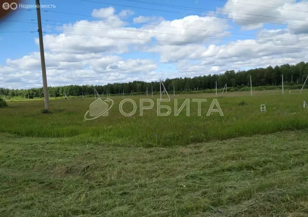 Участок в Тюмень, садовое товарищество Царево (7 м) - Фото 1
