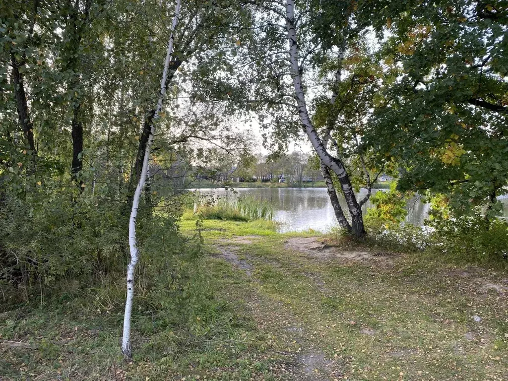 Участок в Московская область, Домодедово КП Рэд тер., 363 (8.77 сот.) - Фото 1