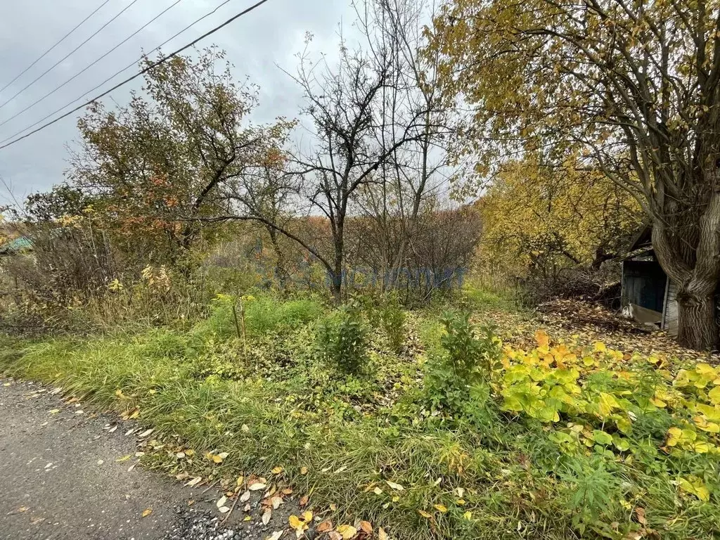 Участок в Нижегородская область, Нижний Новгород Дубрава СНТ, 41 (5.07 ... - Фото 2