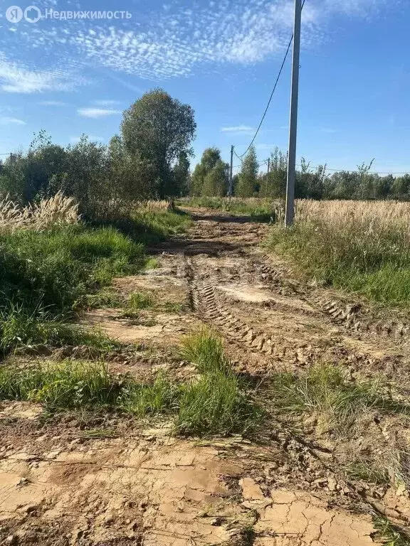 Участок в Нерехтский район, Пригородное сельское поселение (12.5 м) - Фото 1