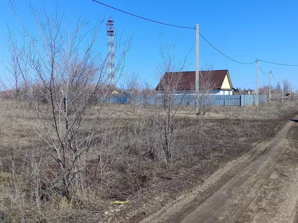 Участок в Саратовская область, Татищевский район, Вязовское ... - Фото 0