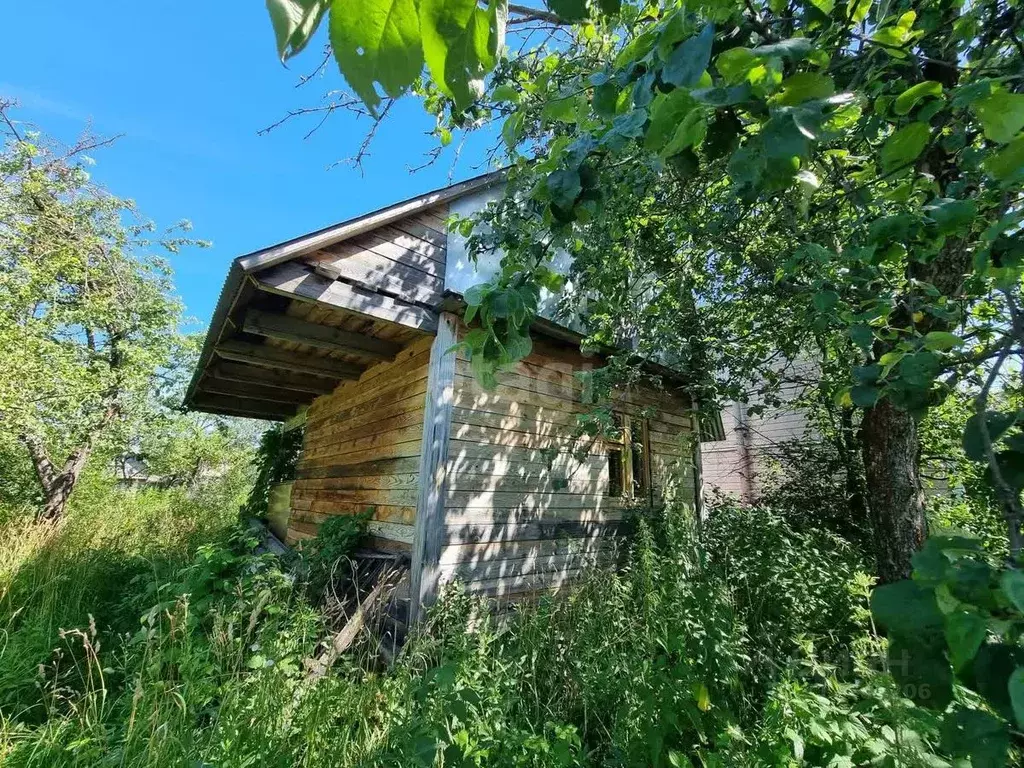 Участок в Московская область, Коломна Коломзаводской №4 садовое ... - Фото 1