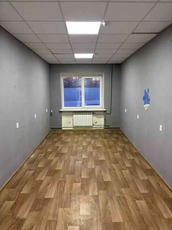 Помещение свободного назначения в Новосибирская область, Новосибирск ... - Фото 2
