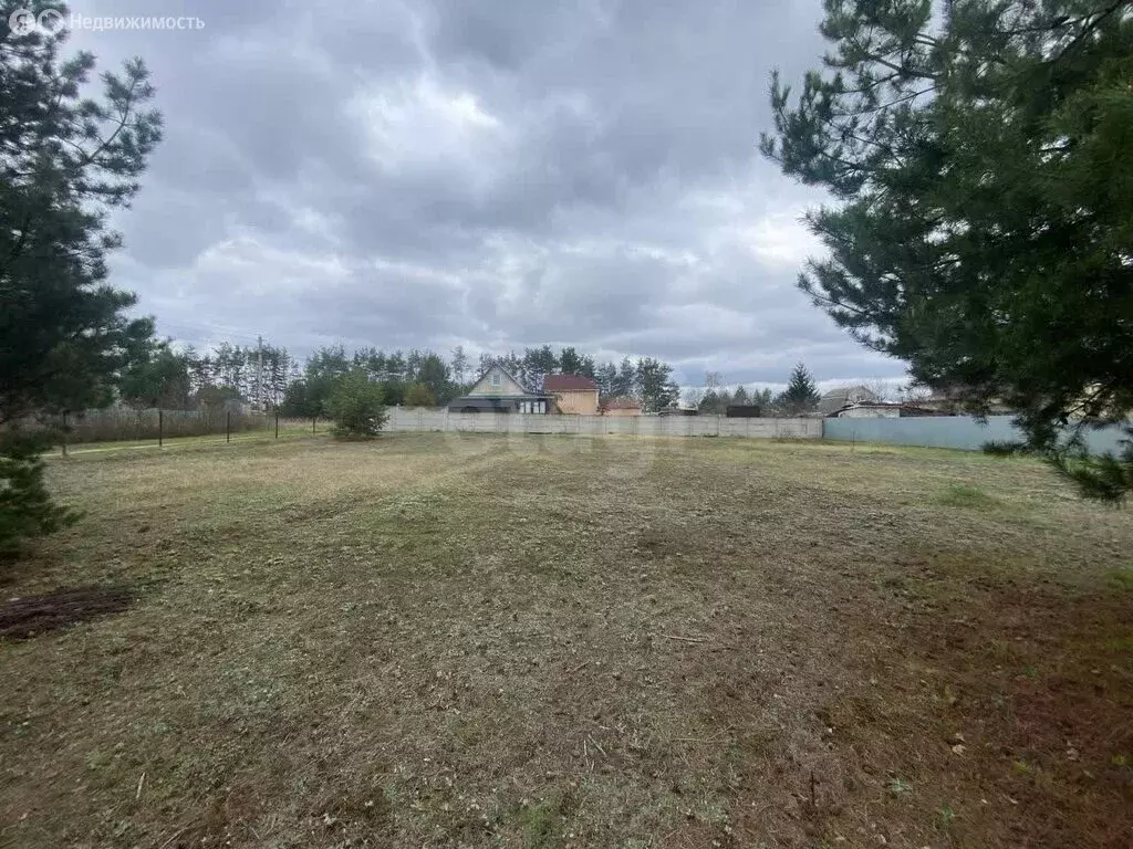 Участок в Рамонский район, Новоживотинновское сельское поселение, СНТ ... - Фото 1