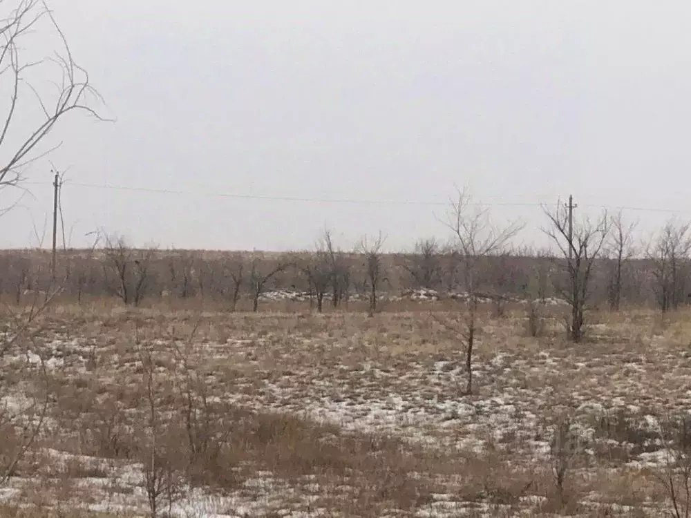 Участок в Оренбургская область, Оренбург пос. Ростоши, ул. Плесецкая . - Фото 0