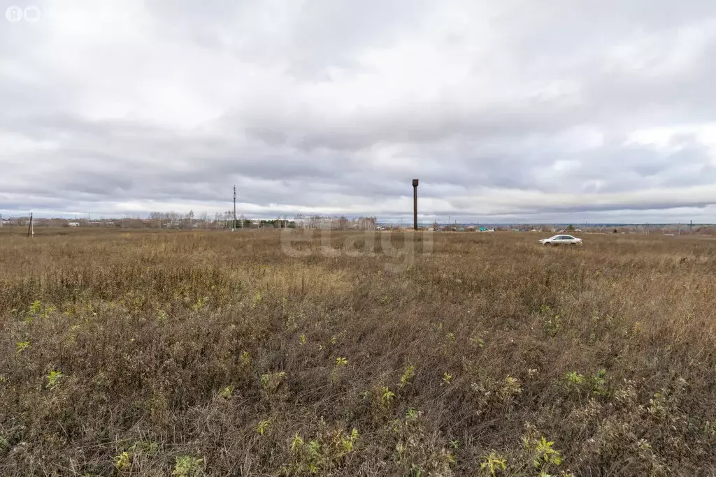 Участок в Тукаевский район, Калмиинское сельское поселение, ДНП Ясная ... - Фото 2