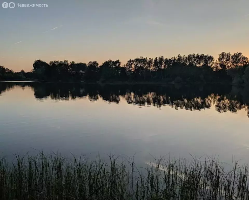 Дом в Чесноковский сельсовет, СНТ Нефтяник, 2-я улица (65 м) - Фото 0