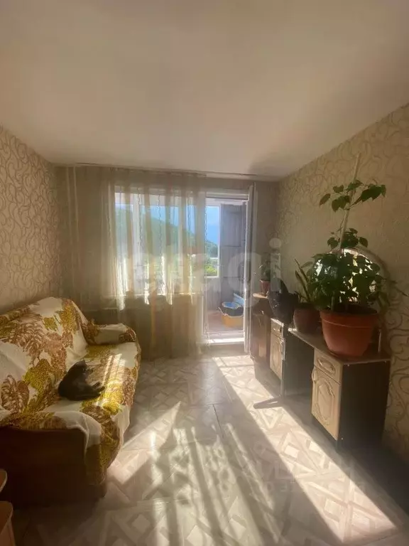 Студия Алтай, Горно-Алтайск Набережная ул. (20.4 м) - Фото 1