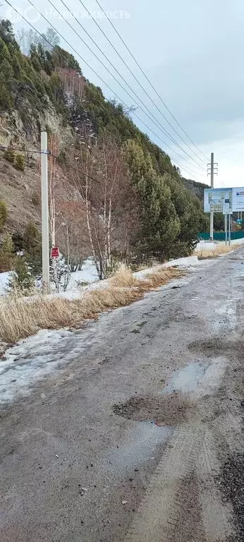 Участок в Листвянка, улица Горького (20 м) - Фото 2