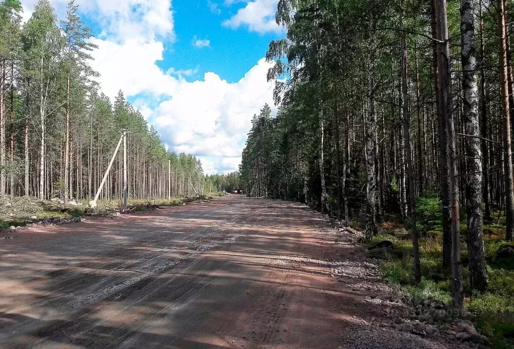 Участок в Московская область, Богородский городской округ, Восточная ... - Фото 1