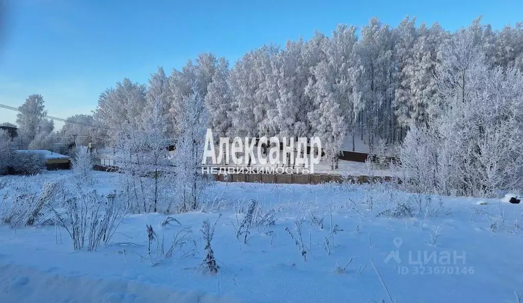 Участок в Ленинградская область, Всеволожский район, Колтушское ... - Фото 1