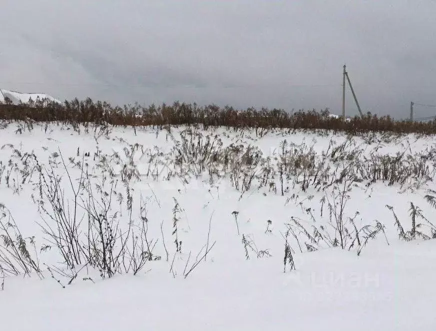 Участок в Новосибирская область, Мошковский район, с. Барлак ул. Новая ... - Фото 2