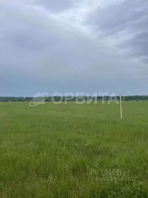 Участок в Тюменская область, Тюменский район, д. Коняшина  (9.62 сот.) - Фото 0