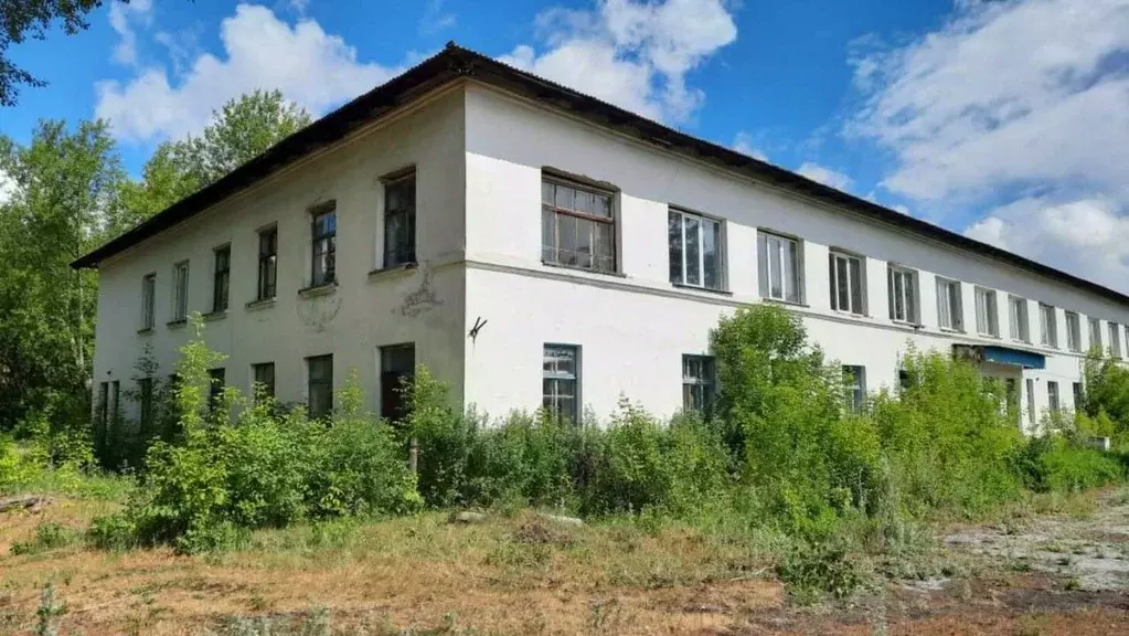 Участок в Курганская область, Мишкинский муниципальный округ, с. ... - Фото 1