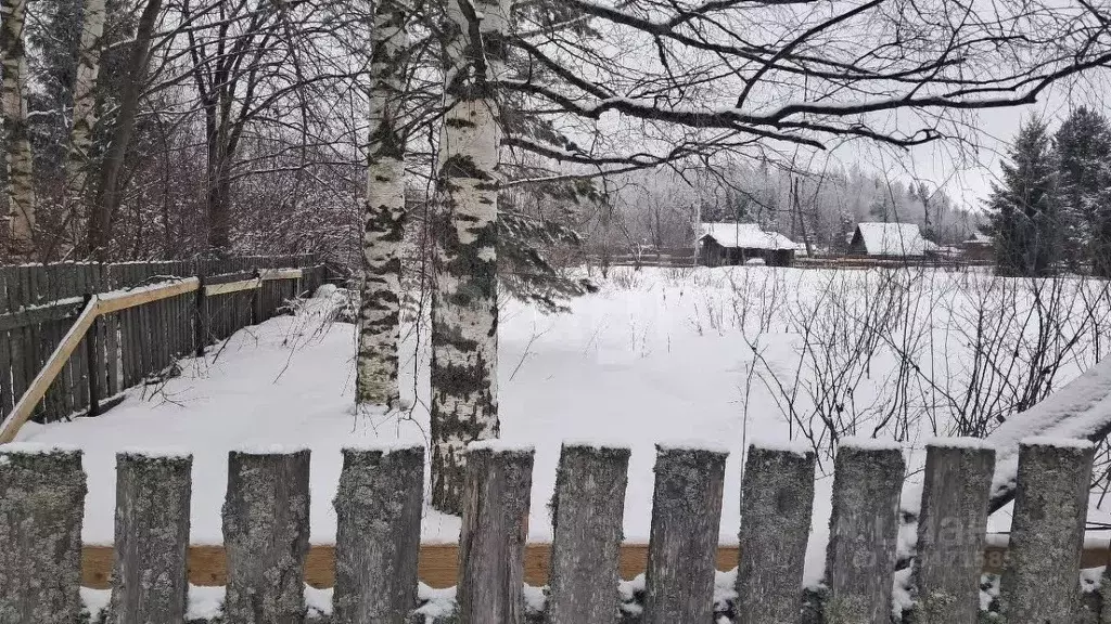 Участок в Кировская область, Кирово-Чепецкий район, Пасеговское с/пос, ... - Фото 1