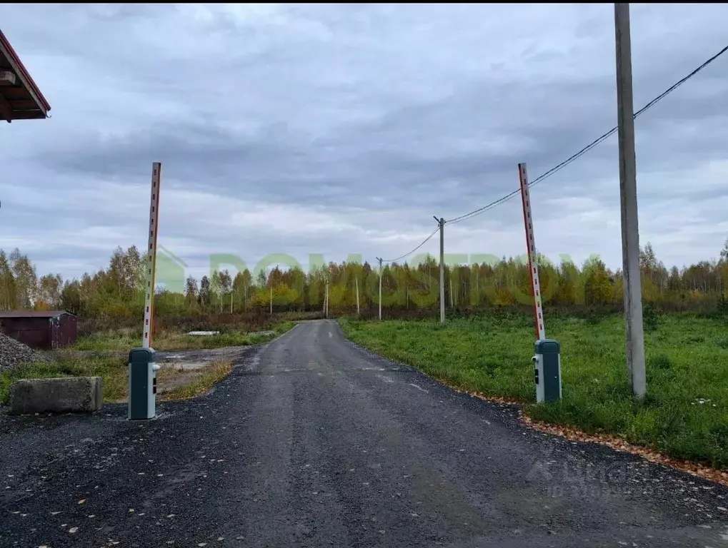 Участок в Новосибирская область, Новосибирский район, Барышевский ... - Фото 0
