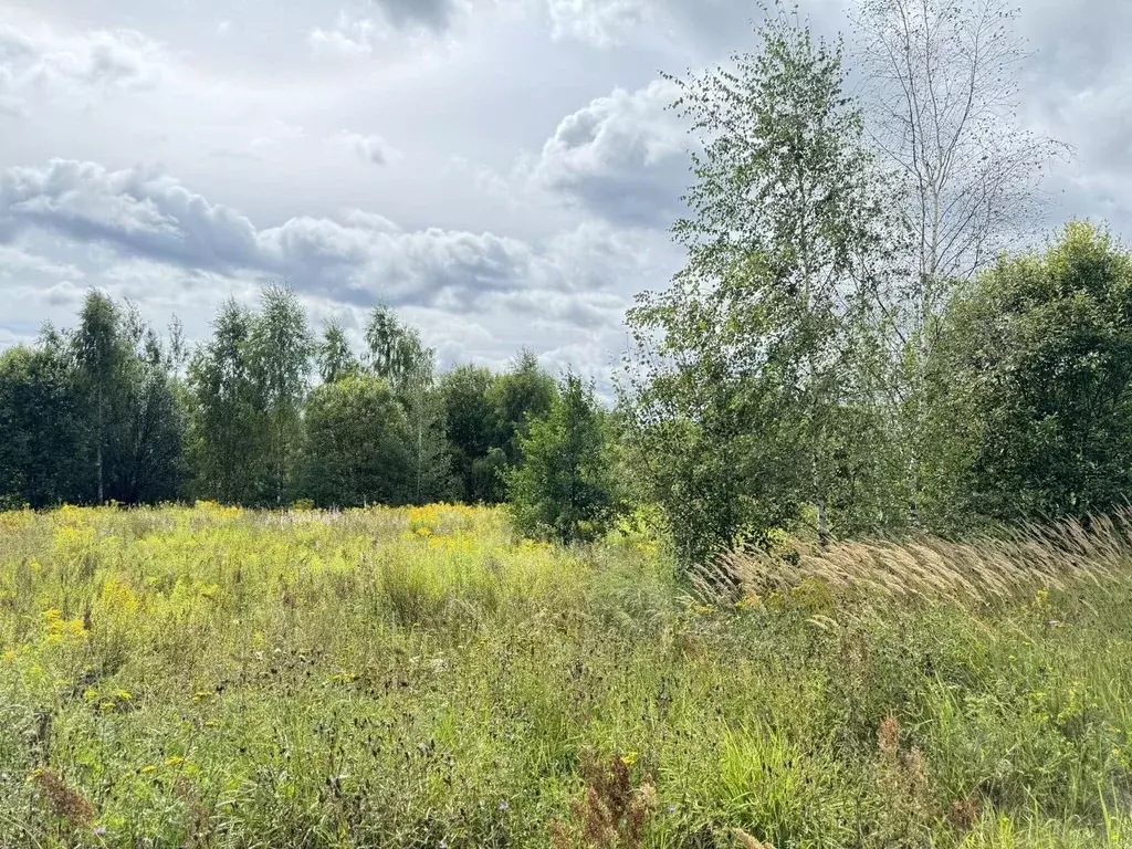 Участок в Владимирская область, Владимир д. Злобино,  (10.27 сот.) - Фото 1