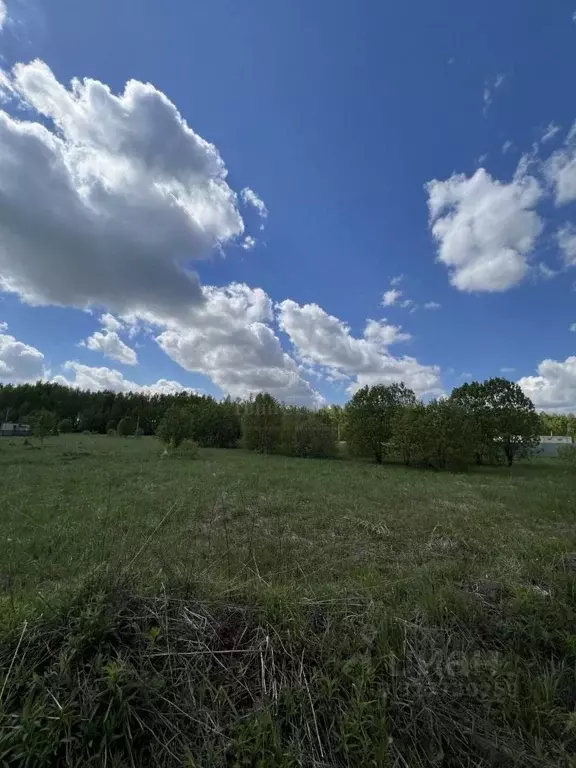 Участок в Тульская область, Щекинский район, Яснополянское с/пос, д. ... - Фото 2