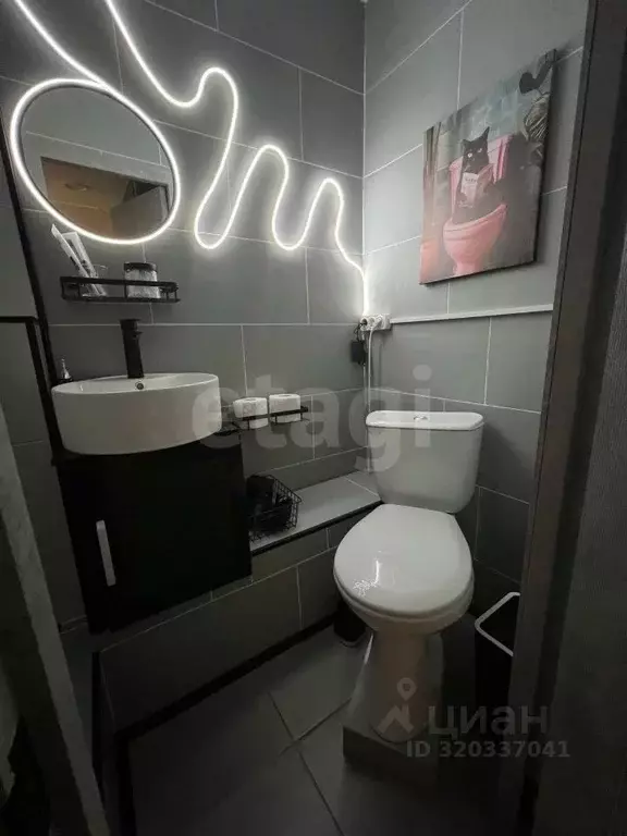 Студия Костромская область, Кострома Кинешемское ш., 15 (16.9 м) - Фото 1