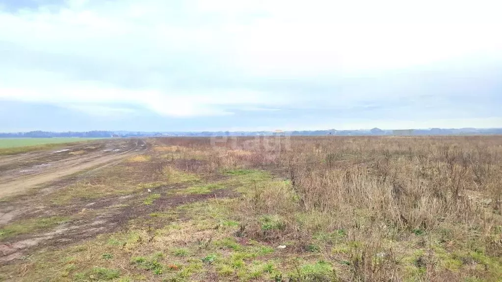 Участок в Адыгея, Майкоп ул. Маршала Василевского (6.0 сот.) - Фото 0