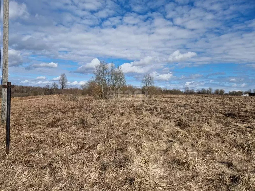 Участок в Новгородская область, Новгородский район, Трубичинское ... - Фото 0