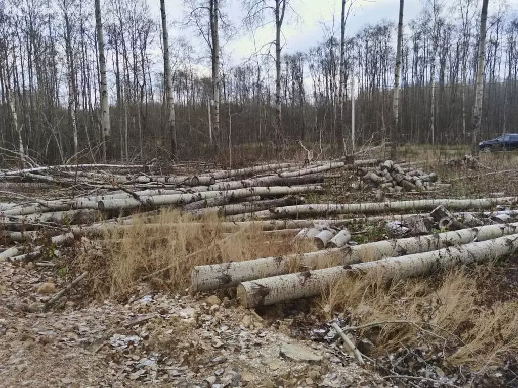 Участок в Череповец, Заягорбский район, 37-й микрорайон (8 м) - Фото 0