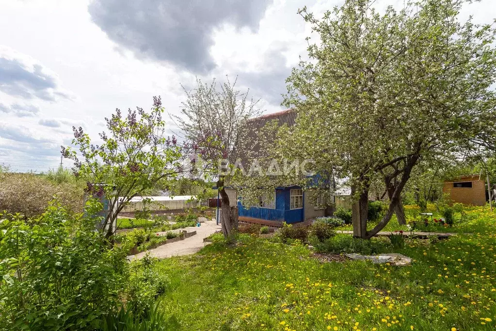 Дом в Владимирская область, Владимир ул. Минина, 24 (44 м) - Фото 2