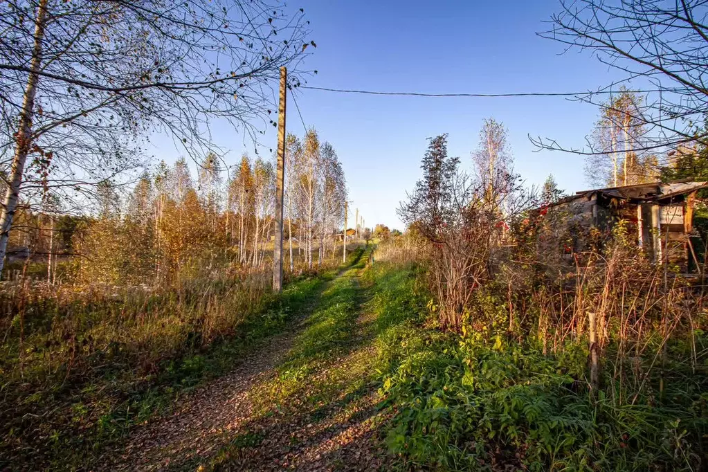 Участок 12 сот. (СНТ, ДНП) - Фото 1