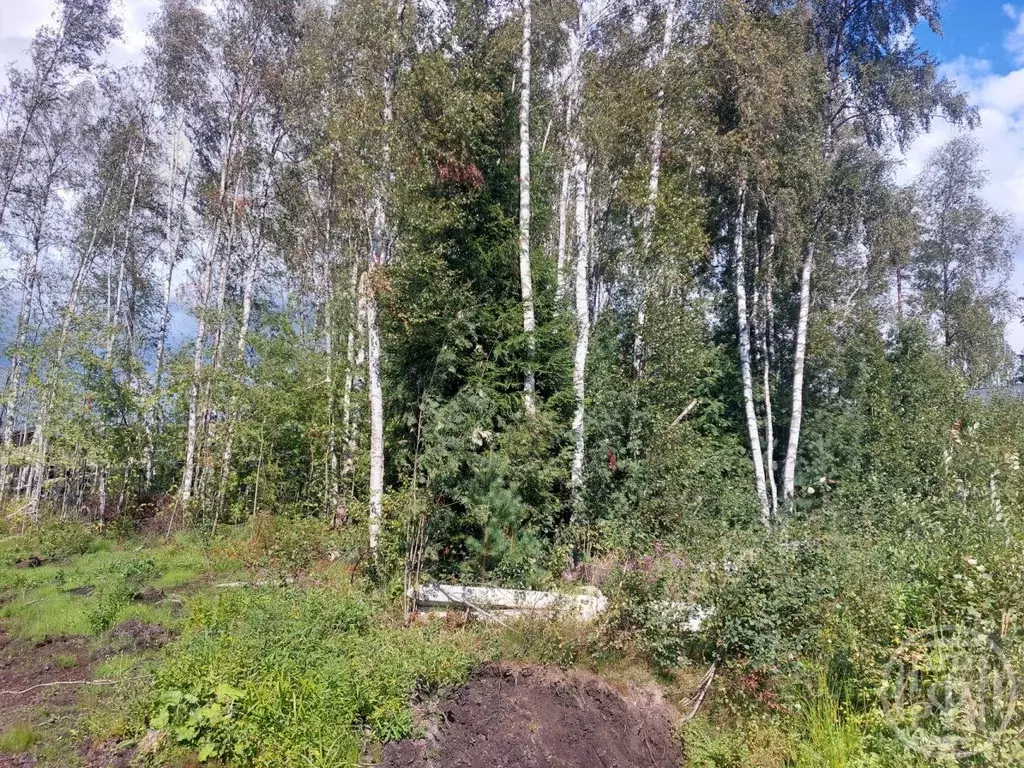 Участок в Ленинградская область, Всеволожский район, Сертоловское ... - Фото 0