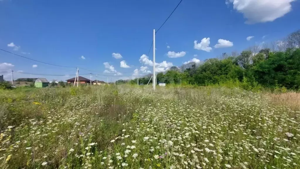 Участок в Белгородская область, Строитель Яковлевский городской округ, ... - Фото 1