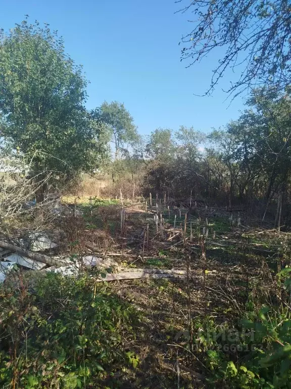 Участок в Московская область, Клин городской округ, д. Решоткино  (7.8 ... - Фото 2