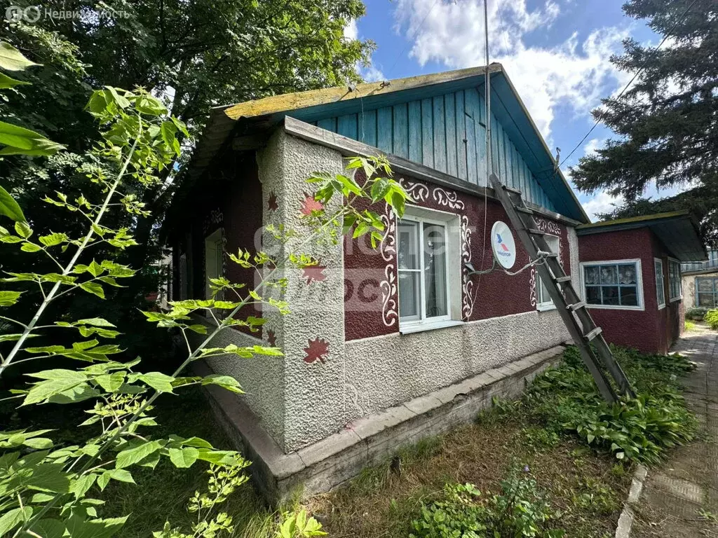 Дом в село Дружино, улица 1 Мая, 6 (55.8 м) - Фото 1