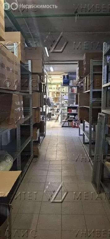 Помещение свободного назначения (238 м) - Фото 2