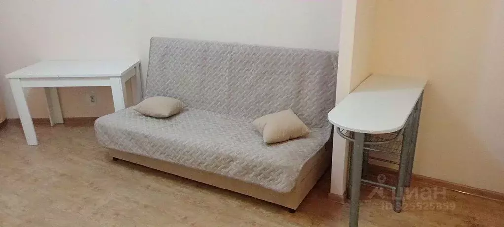 Студия Пермский край, Пермь Автозаводская ул., 30 (23.0 м) - Фото 2