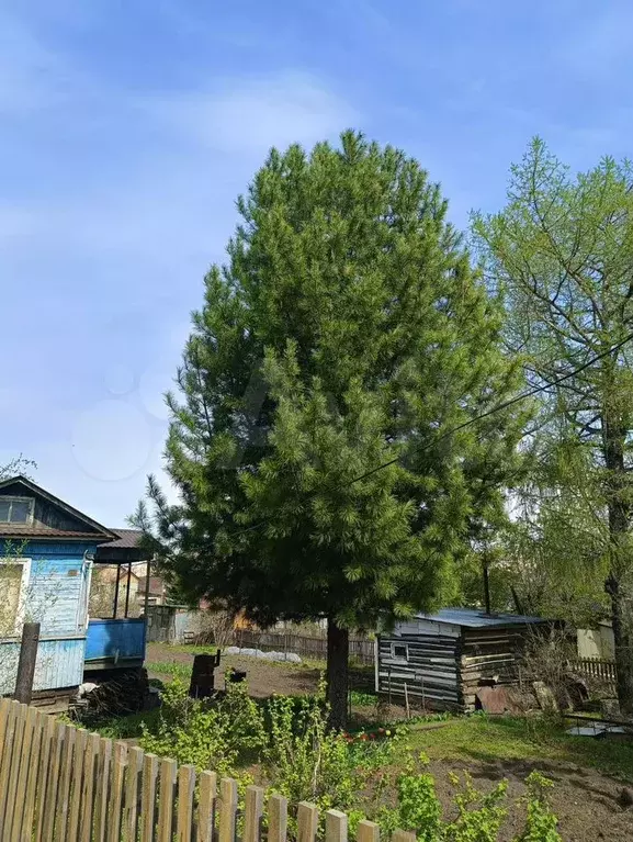 Дача 25 м на участке 7,2 сот. - Фото 0