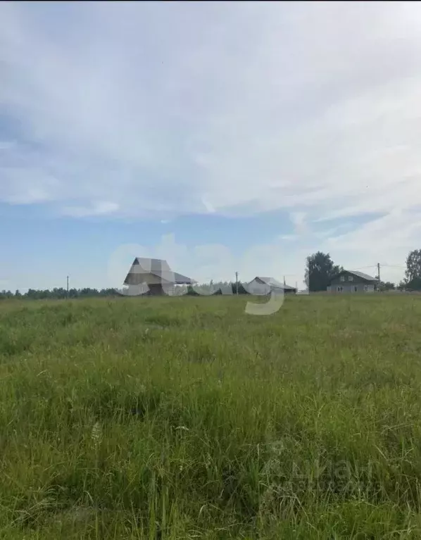 Участок в Костромская область, Нерехта  (8.7 сот.) - Фото 1