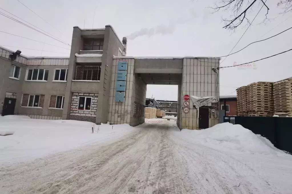 Производственное помещение в Свердловская область, Березовский ул. ... - Фото 1
