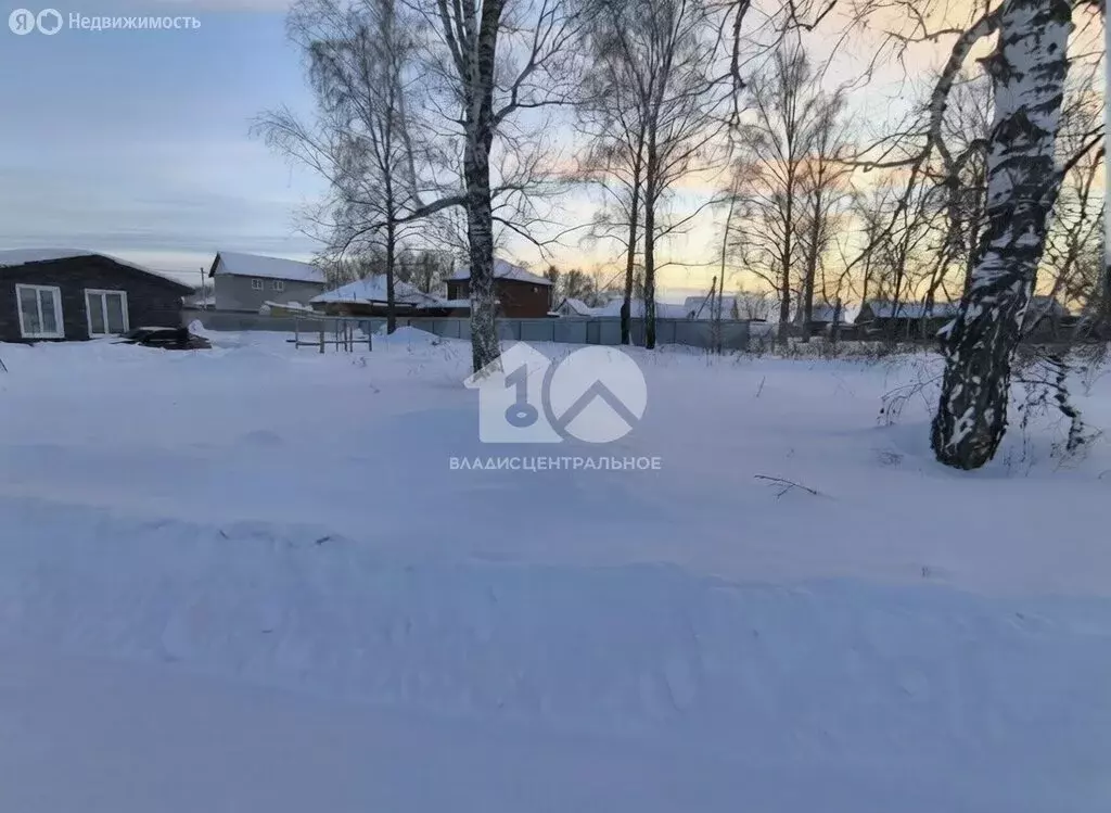 Участок в Новосибирский район, Морской сельсовет, село Ленинское (6.74 ... - Фото 2