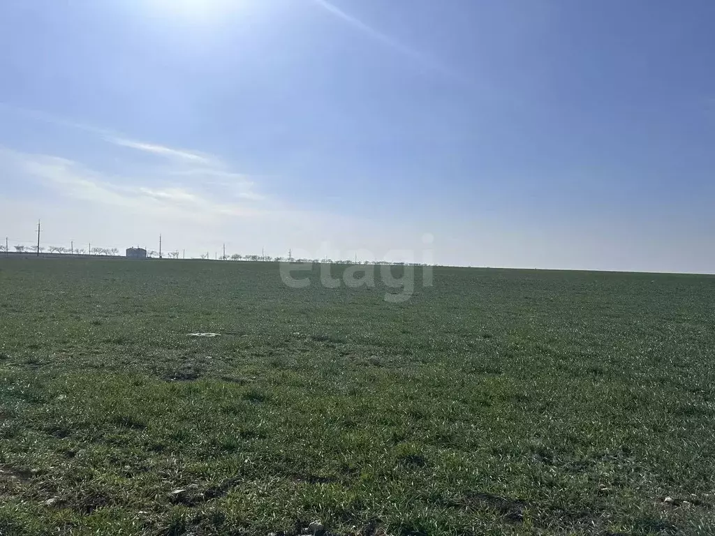 Участок в Крым, Сакский район, с. Уютное  (560.0 сот.) - Фото 1