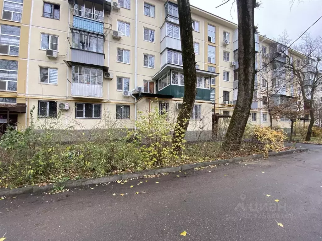 1-к кв. Краснодарский край, Краснодар ул. Димитрова (31.4 м) - Фото 2