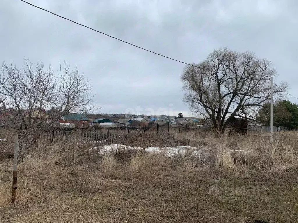 Участок в Татарстан, Альметьевский район, с. Новое Каширово ул. Мусы ... - Фото 1