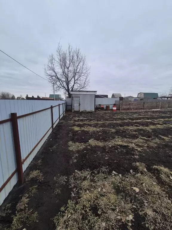 Участок в Омская область, Омский район муниципальный округ, Яблонька ... - Фото 1