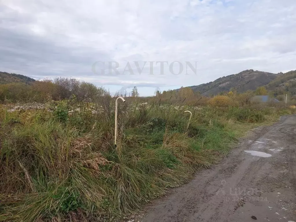 Участок в Алтай, Майминский район, с. Кызыл-Озек ул. Напалковой (10.0 ... - Фото 2