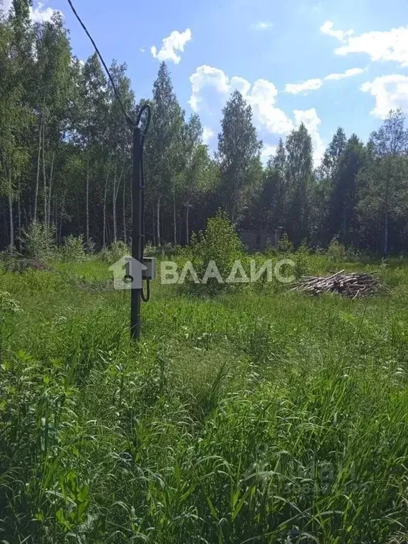 Участок в Тамбовская область, Тамбов городской округ, пос. Тригуляй ... - Фото 1