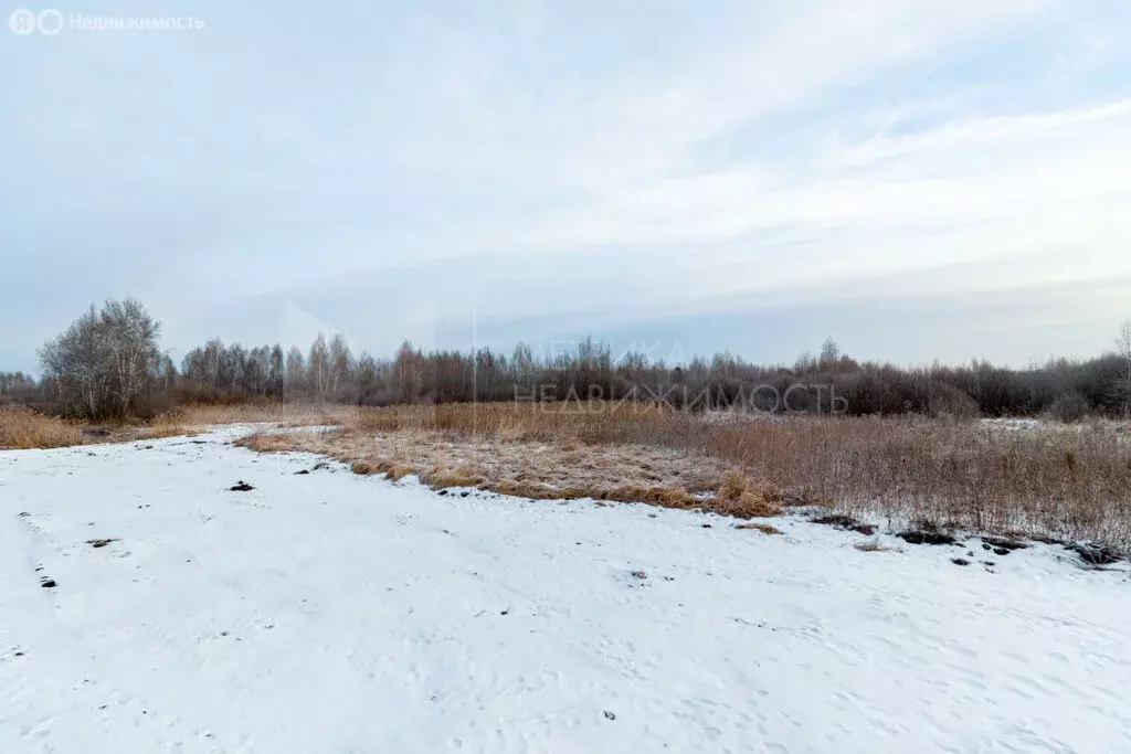 Участок в Тюмень, садовое товарищество Ясень (6.6 м) - Фото 0