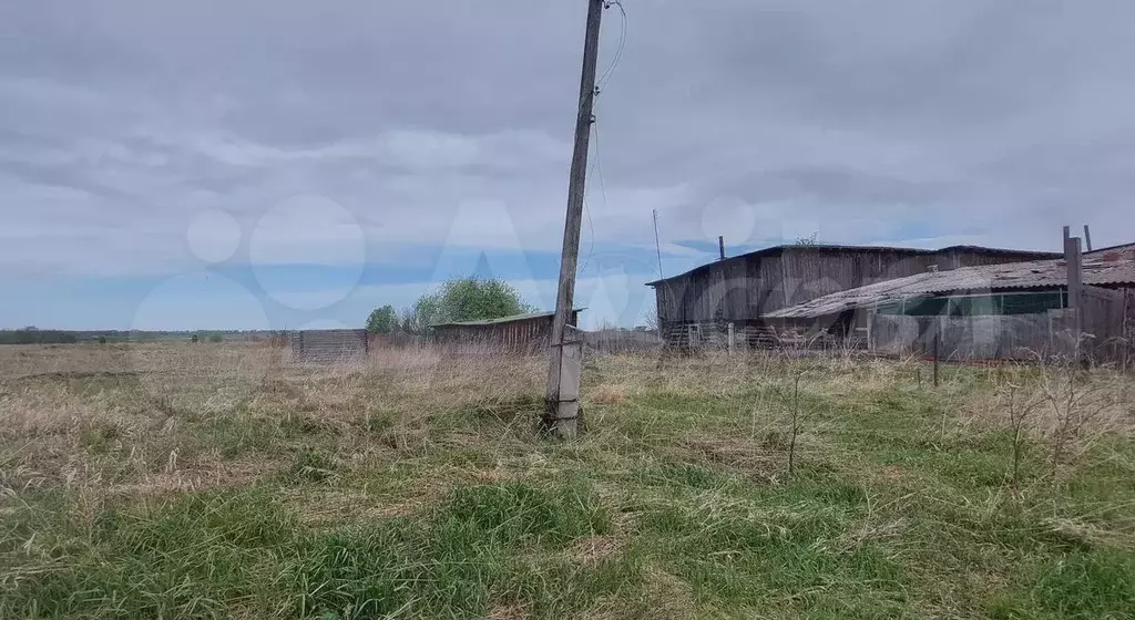 Участок 12,5 сот. (ИЖС) - Фото 0