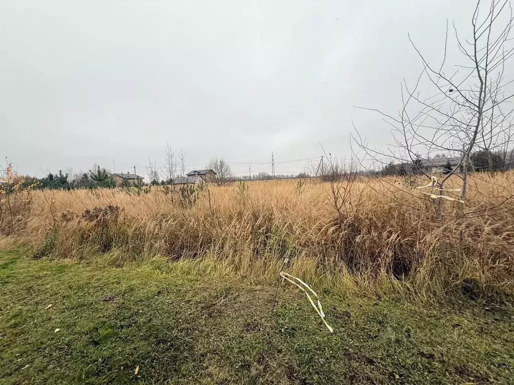 Участок в Московская область, Дмитровский муниципальный округ, д. ... - Фото 2