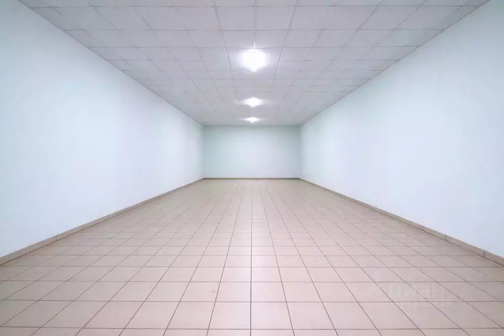 Торговая площадь в Москва Варшавское ш., 14С14 (510 м) - Фото 1