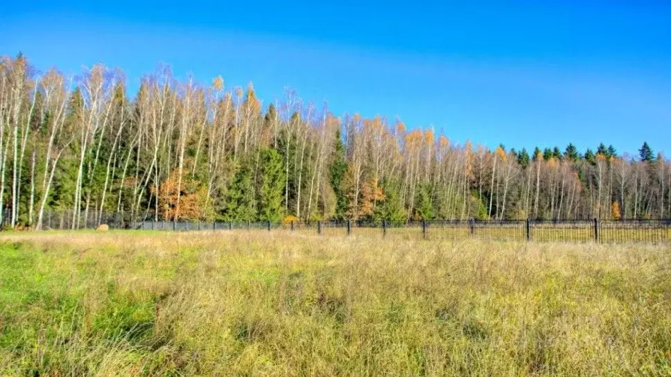 Участок в Московская область, Одинцовский городской округ, Лесной ... - Фото 1
